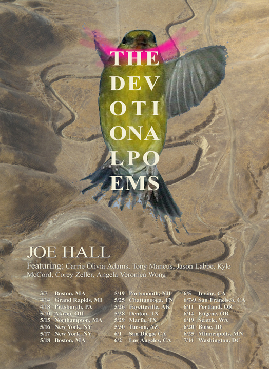 In Which I Go Insane